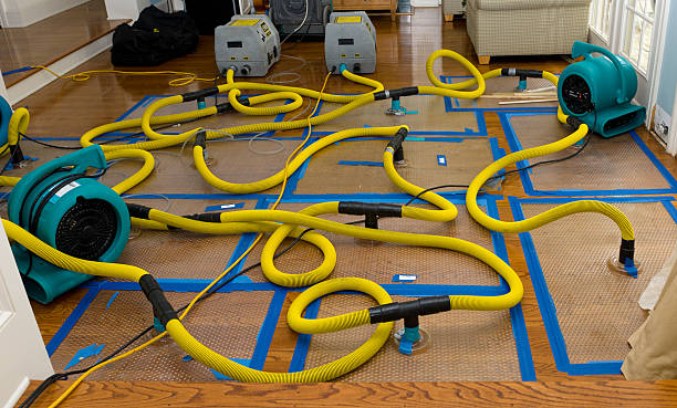 Professional Water Extraction technician working in Van Buren, OH